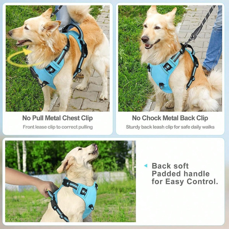 High Reflective Dog Harness Se - Outdoor Adventure Kit 리뷰 및 가격